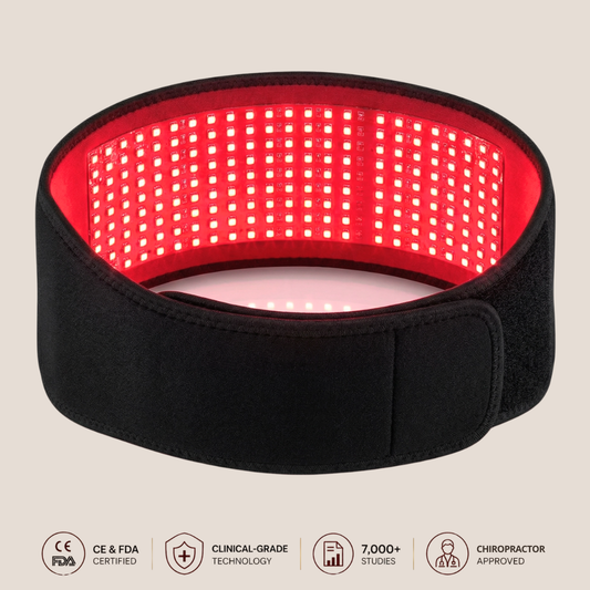 SYNELUX™ | The #1 Red Light Belt for Back Pain